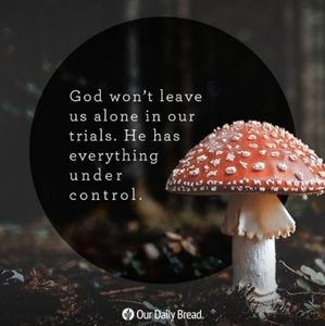 Meet your Posher, Sabrina